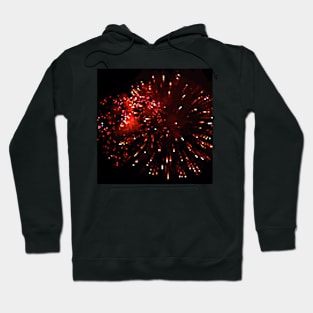 Pixel Firework No.30 Hoodie